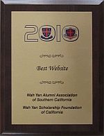 We were awarded The Best Website in IC2010